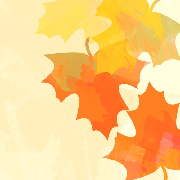 Meet your Posher, E - Picture 1 of 1